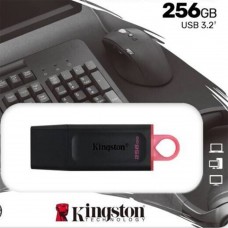 Pendrive Kingston 256